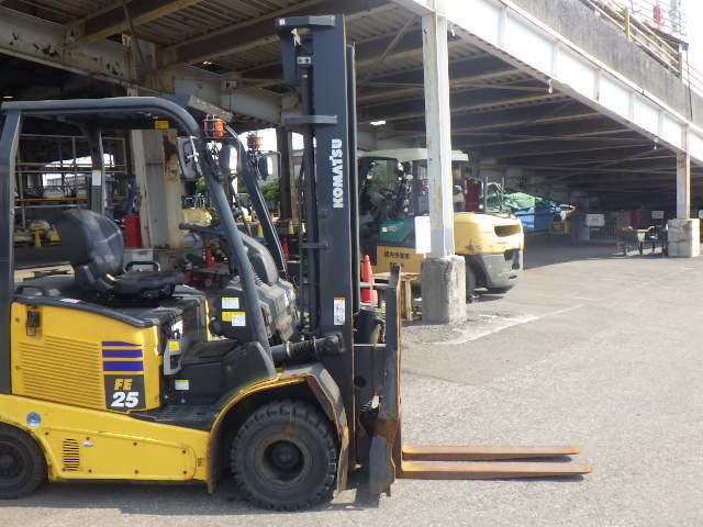 Xe nâng điện Komatsu 2.5 tấn FE25-1 (310193) - Ảnh 11